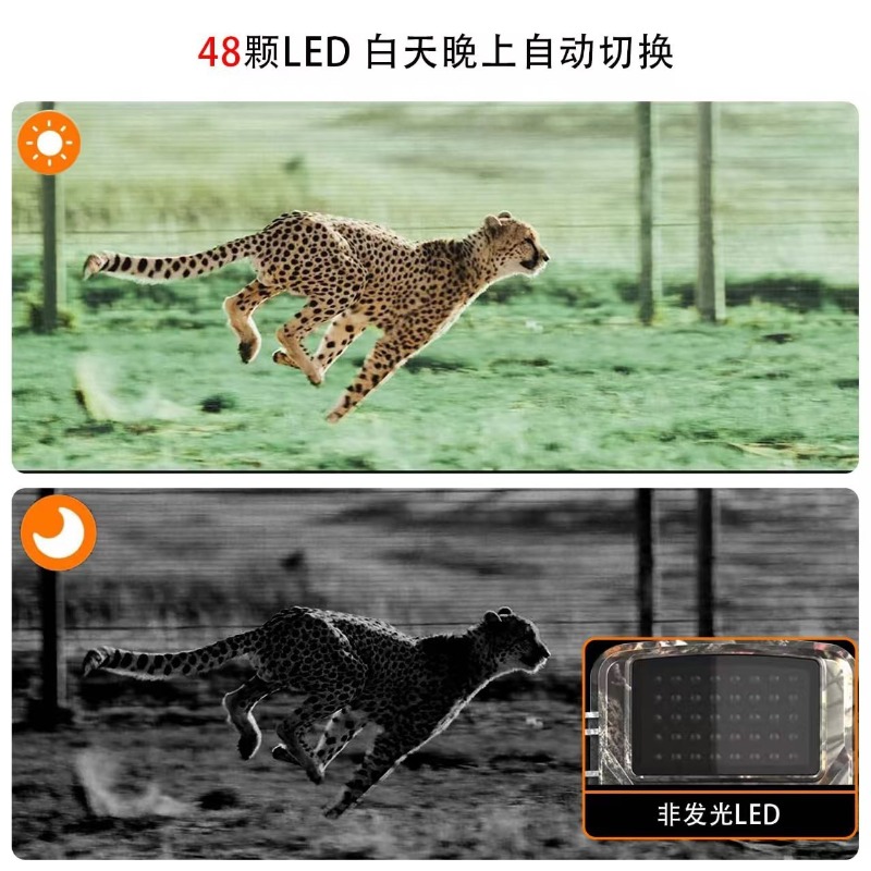 OFERTA IMPERDÍVEL DL001 Câmera - Outdoor Hunting Images avaliação e preço