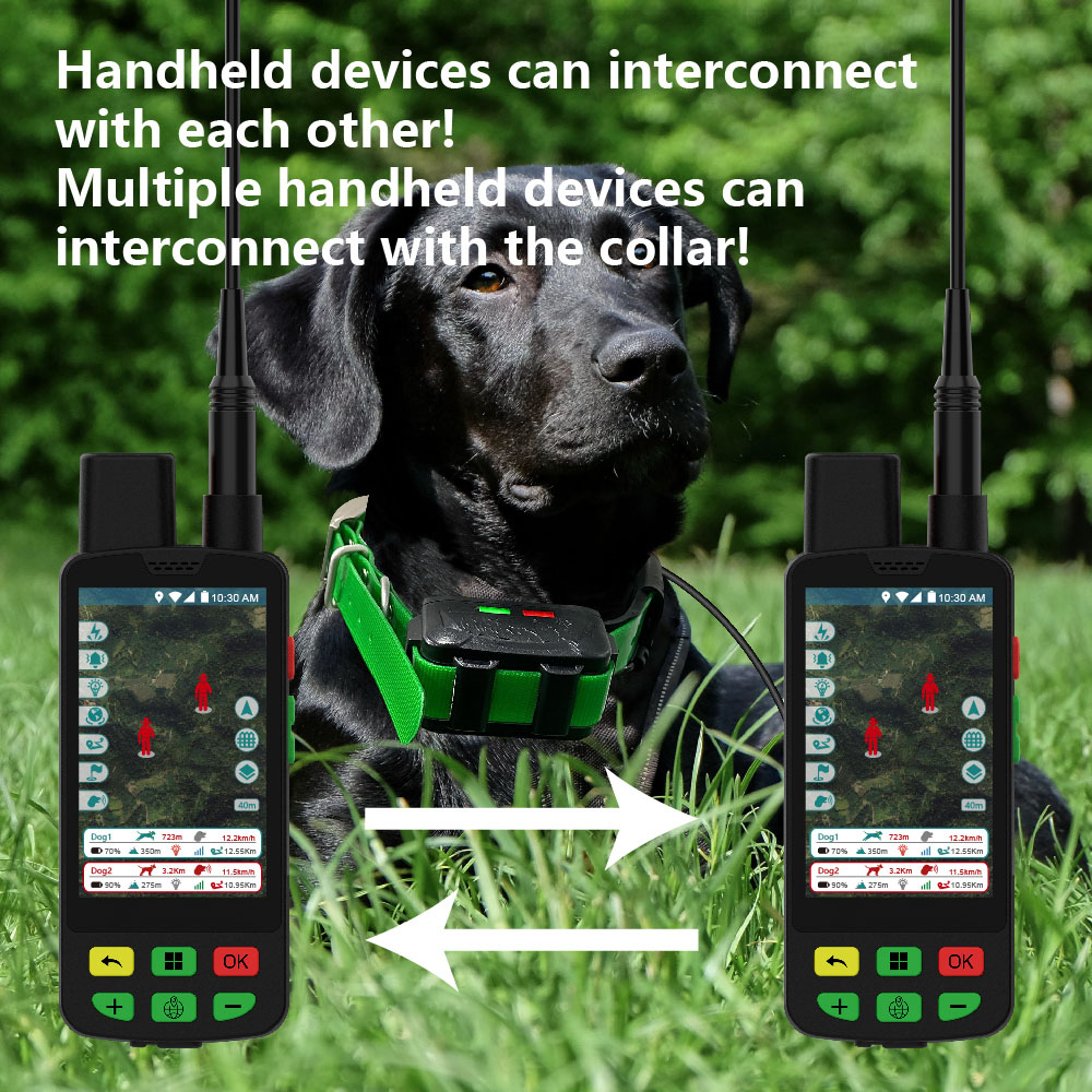 Coleira GPS para Uso Externo,  - Outdoor Hunting Dog Supply avaliação e preço