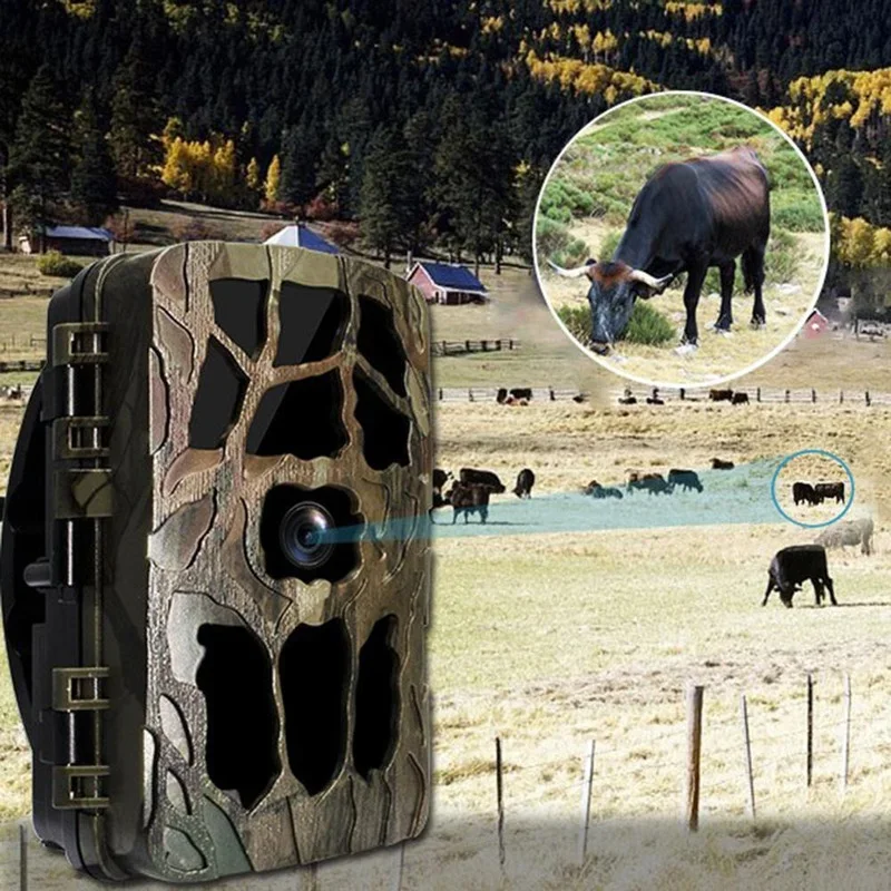 H982 IP66 à prova d'água 4K in - Outdoor Hunting Images avaliação e preço